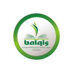 Desain tanpa judul (2)